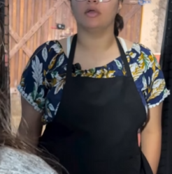 T1802010 hoje continua colocando culpa na doméstica que não sabe mais que fazer