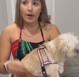 T0502002 Ela tratava sua cachorrinha como filha, mas isso lhe custou casamento part2