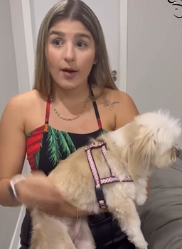 T0502002 Ela tratava sua cachorrinha como filha, mas isso lhe custou casamento part2