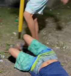 T1921008 Onde será que está segredo que estava dentro da caixa part2