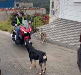 T0421023 Uma mãe nunca deve permitir que seu filho faça isso part2