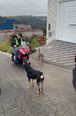 T0421023 Uma mãe nunca deve permitir que seu filho faça isso part2