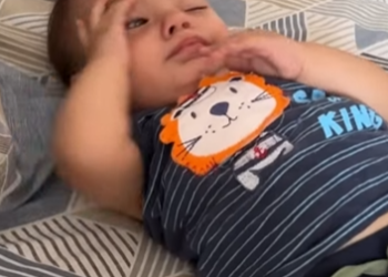 T1321021 Este bebê vai mudar vida dessa família da noite para dia