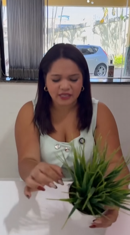 T0622011 Babá obrigava filha do patrão fazer os afazeres no lugar dela (3) part2