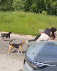 T1722006 Olha que essa vizinha causou para ela part2