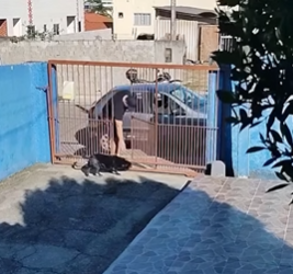 T2104004 Entrou na minha CASA, part2