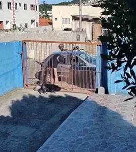 T2104004 Entrou na minha CASA, part2