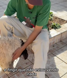 T0628038 Madrasta por ciúmes toma uma atitude inusitada, mas não pensou nas consequências part2